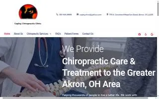 Copley Chiropractic Clinic website
