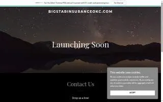 Big Star Insurance Agency LLC website