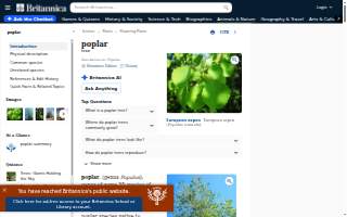 Poplar Avenue Clinic Women'S Health & Med Spa