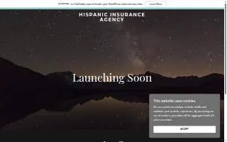 Hispanic Insurance Agency website