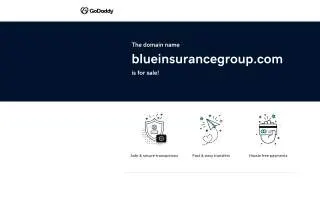 Blue Insurance Group website