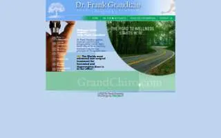 Grand Chiropractic of St. Louis website