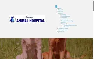 Naamans Animal Hospital website