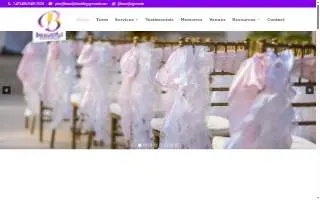Stroh's Chiropractic & Wellness website