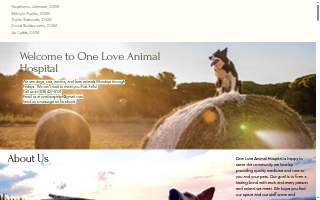 One Love Animal Hospital - Yorkville