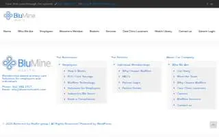 BluMine Health Richmond website