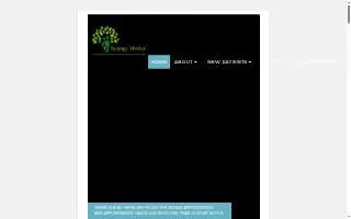Synergy Medical website