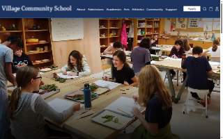Village Community School