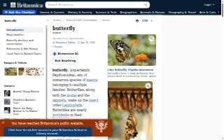 The Butterfly Effect Studio for Training