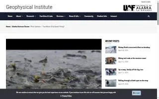Midshore Veterinary Service website