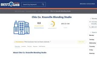 Chlo Co. Knoxville Blonding Studio website