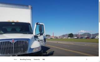 Borg Trucking Inc