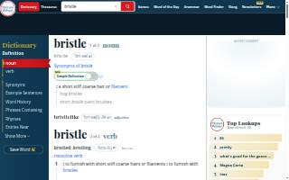 Bristle Hairdressing