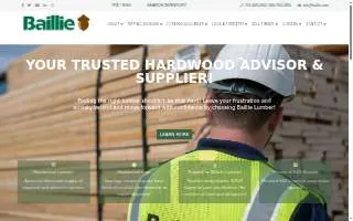 Baillie Law Firm website