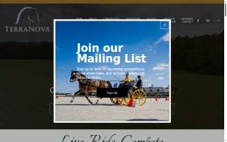 TERRANOVA Landscaping co