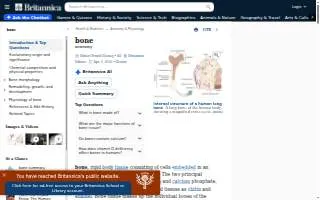 Bone & Joint Hospital-St Anthony website