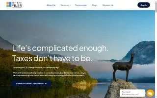 MyTaxFiler Plano website