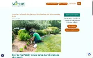 Lawn care service of Cambridge website