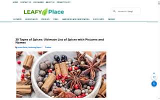The Spices Restaurant & Bar Green Bay