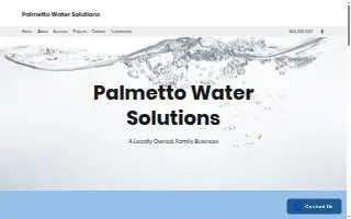 Palmetto Water Solutions website