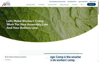 Strategic Tax Accountant Services