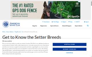 Setter Electric Company, Inc