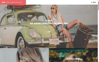 Den - Aveda Lifestyle Salon and Spa