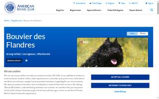 Bouvier Insurance, A HUB International Company of West Hartford