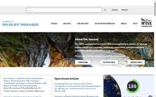 JWD Auto website