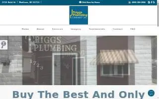 Triggs Plumbing website