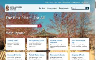 Nancy is best realtor we have encountered in Anne Arundel County.