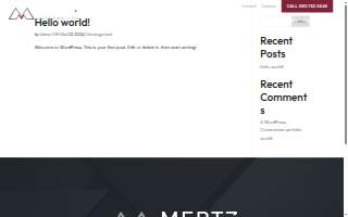 Mertz Wealth Strategies