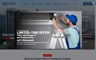 Blueray Heating and Cooling website