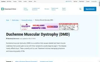 DMD Landscaping website
