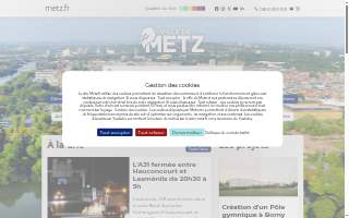 Metz Air Control