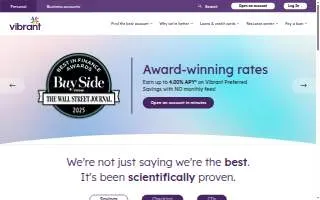 Vibrant Niche Chiropractic website