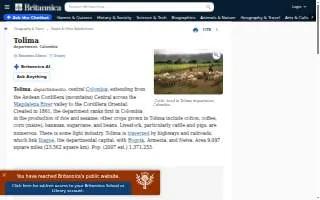Tolima Coffee website