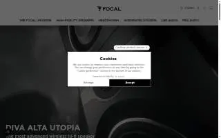 Focal Point Chiropractic website