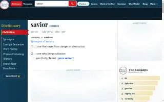 Savior Plumbing website