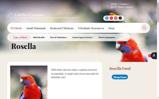 Rosella & Schecter Law Group Auto Accident Lawyers