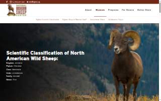 Bighorn Wealth Management