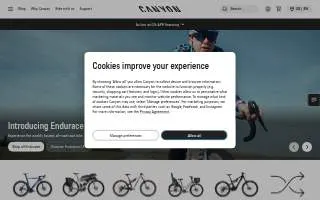 Canyon's Construction Services website