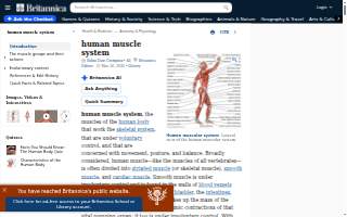 Muscle Monkey Functional Fitness