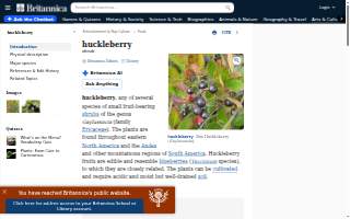 Huckleberry Roasters