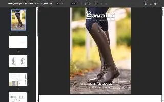 Cavallo Chiropractic website
