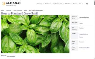 Basil Electric Inc