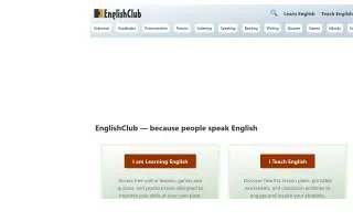 English Ann M DVM website