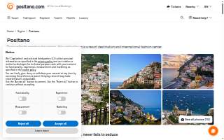 Positano Plumbing Inc