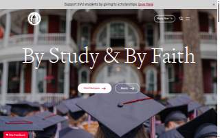 Collegiate Landscaping