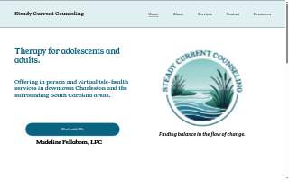 Steady Current Counseling